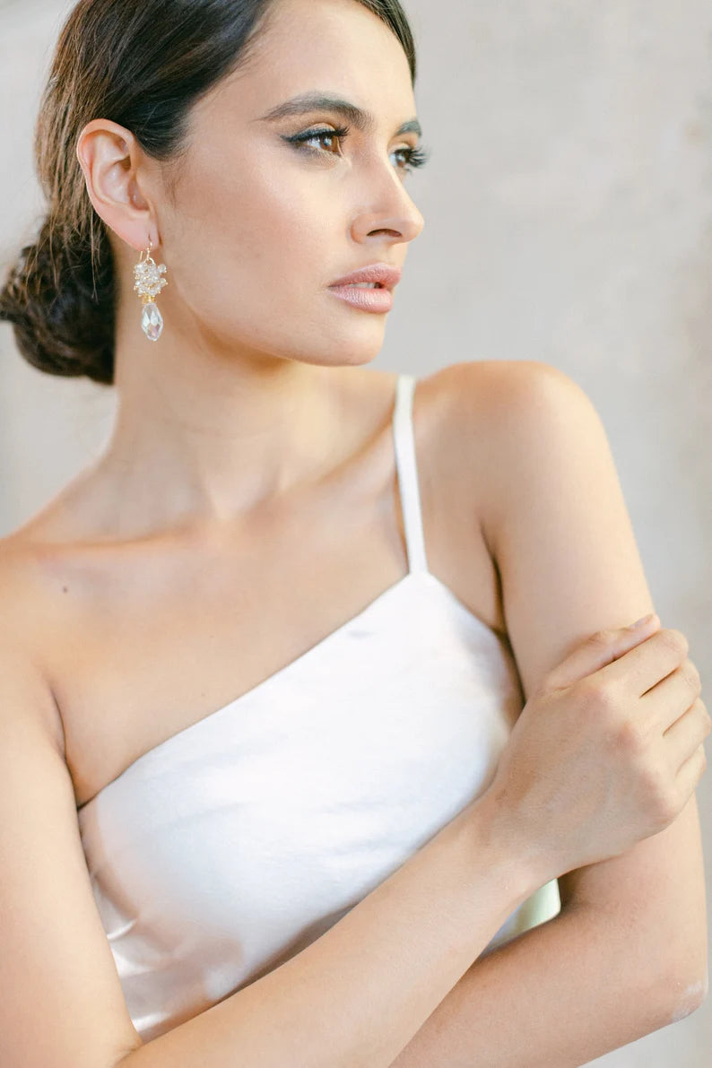 Elzen - Swarovski Crystal Drop Earrings – Hanna Peters × Gibson Bespoke